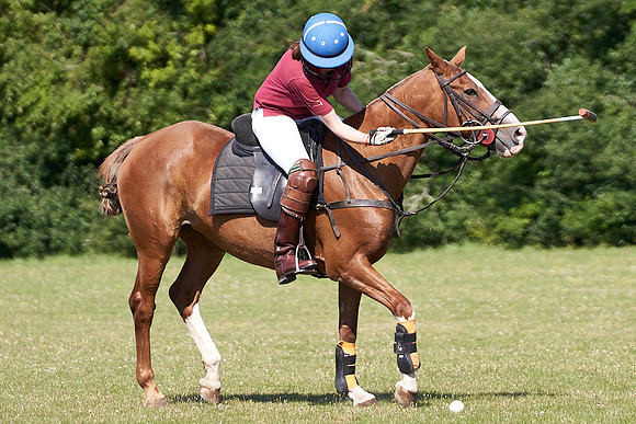 ChukkaTraining_LE1080px_20-07-22_C_HPS01__JLR5802-0028