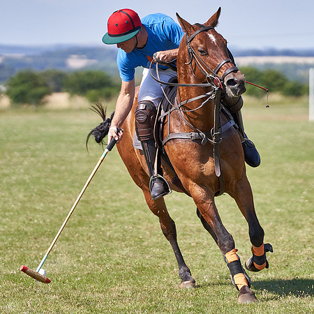 ChukkaTraining_LE1080px_20-07-22_C_HPS01__JLR5794-0023