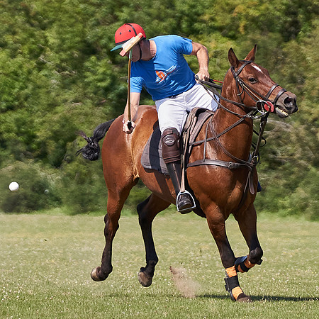 ChukkaTraining_LE1080px_20-07-22_C_HPS01__JLR5783-0015