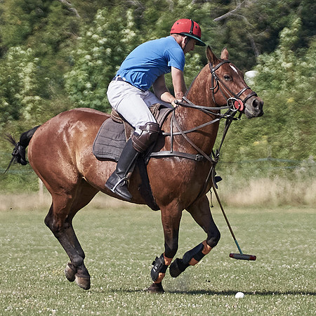 ChukkaTraining_LE1080px_20-07-22_C_HPS01__JLR5782-0014