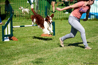 DogShow-a4_19-07-06_Scovellsway_DJR2750-0005