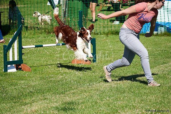 DogShow-a4_19-07-06_Scovellsway_DJR2750-0005