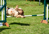 DogShow-a4_19-07-06_Scovellsway_DJR3149-0023
