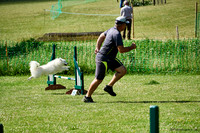 DogShow-a4_19-07-06_Scovellsway_DJR3171-0026