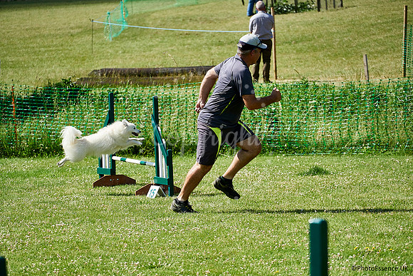 DogShow-a4_19-07-06_Scovellsway_DJR3171-0026