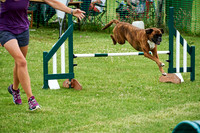 DogShow-a4_19-07-06_Scovellsway_DJR3931-0143