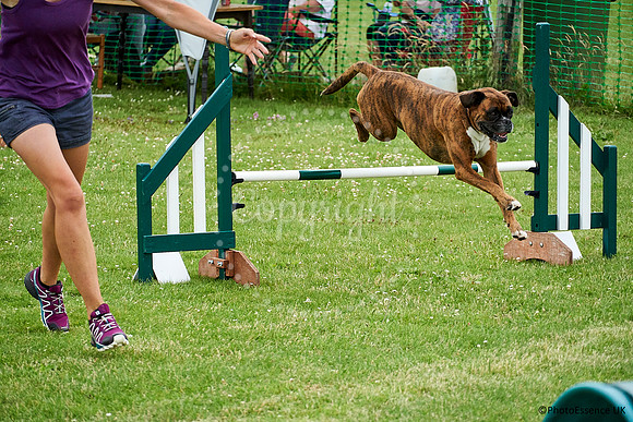 DogShow-a4_19-07-06_Scovellsway_DJR3931-0143