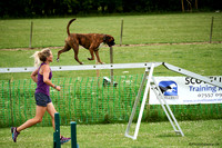 DogShow-a4_19-07-06_Scovellsway_DJR3942-0144