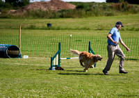 DogShow-a4_19-07-06_Scovellsway_JLR3168-0188