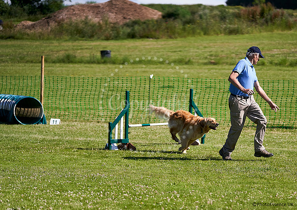 DogShow-a4_19-07-06_Scovellsway_JLR3168-0188