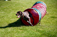 DogShow-a4_19-07-06_Scovellsway_JLR3183-0189