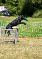 DogShow-a4_19-07-06_Scovellsway_JLR3263-0195