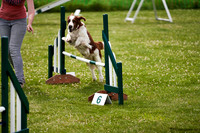 DogShow-a4_19-07-06_Scovellsway_JLR3900-0283